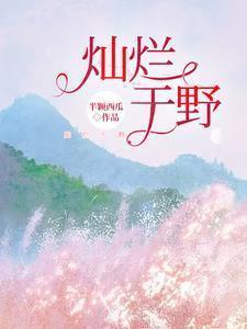 灿烂于野笔趣阁