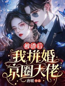 被渣后我嫁给了巅峰大佬作者紫青悠
