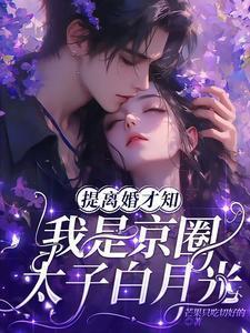 提离婚才知
