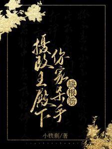 摄政王殿下,你家杀手缺根筋!