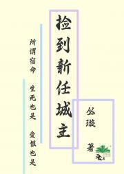 捡到新任城主
