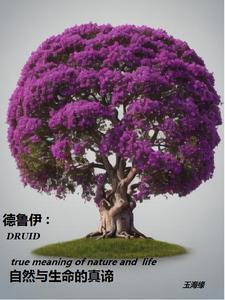 德鲁伊:自然与生命的真谛