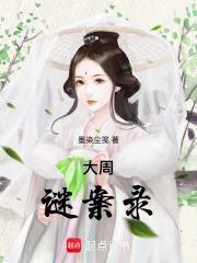 大周谜案录