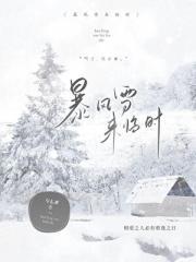 暴风雪来临时