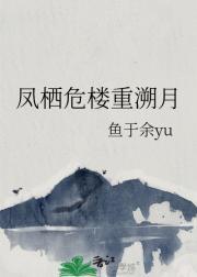 凤栖危楼重溯月
