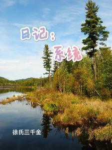 日记:系统
