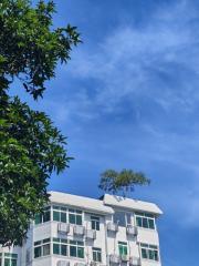 为她指引,被她所诱