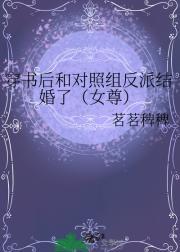 穿书后和对照组反派结婚了(女尊)