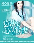 婚心荡漾:总裁的心尖暖妻