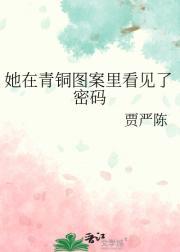 她在青铜图案里看见了密码